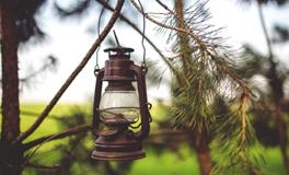 女人梦见路上好多蛇