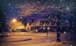 梦见四条蛇是什么意思