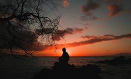 梦见白色的蛇是什么意思