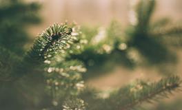 梦到蛇咬我是什么意思