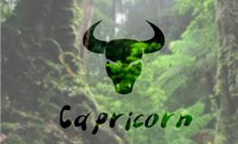 摩羯座生日，摩羯座是几月份