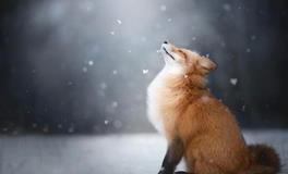 AB血型君如何缓解焦虑？