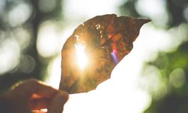 女人梦见房子破烂不堪