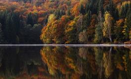 女人梦见自己家盖房子