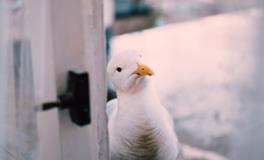 梦见老公外面有女人