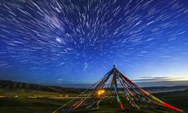 铃兰水逆十二星座运程全解