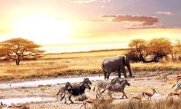 B血型君有什么怪癖