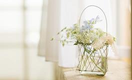 玛丽亚-德西蒙尼十二星座爱情周运（7.30-8.5）