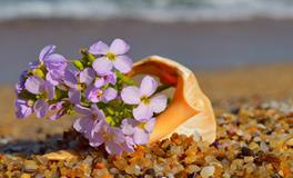 洁安2018年8月份生命灵数运势