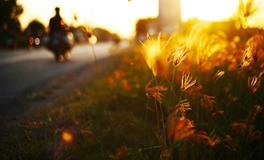 已婚女人梦见乌龟和水