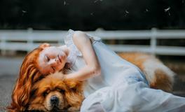 梦见别人骂我什么意思