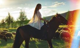 梦见自己去算命