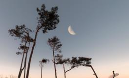 梦见好多人被杀死了