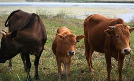 A血型君早该明白的道理