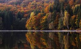 梦见自己长胖了