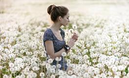 属猪和属马的生肖配对