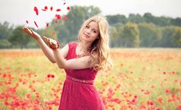 属猪和属鸡的生肖配对