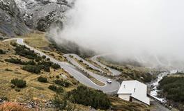 属猪人2018年适合进行投资吗