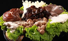 AB型血属羊的人最有前途吗？