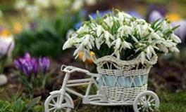 YAO叔射手座一周运势（8.6-8.12）