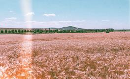 属龙的人去哪个方位求财好