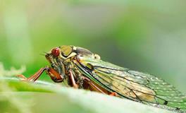 强势的A血型人有哪些特征