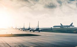 属猪如何旺事业运