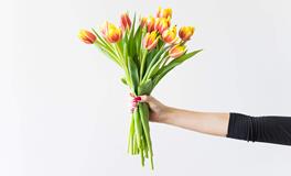 属猴的和什么属相六合