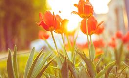 2030年属什么生肖