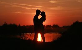 属狗和属牛的八字合吗