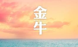 金牛座最怕失去什么