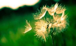 苏珊米勒今日运势2018年8月11日