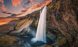 O型血的狮子座职业方向