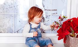 孕妇梦到马是什么意思