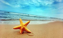 李云天一周生肖蛇运势（8.13-8.19）