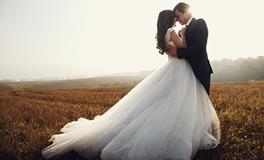 金牛座A型血的婚姻与家庭