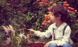 怀孕做梦梦到去世的人