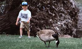 怀孕梦到别人捉鱼