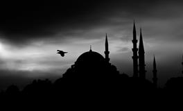 梦见肉是什么意思周公解梦