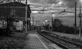 做梦梦到牛是什么意思