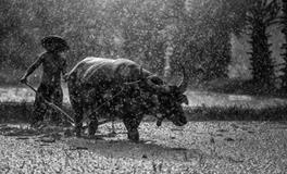 梦见碰到死人什么意思