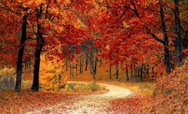 梦到打鬼是什么意思