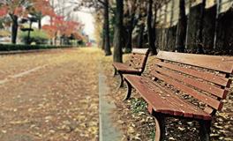 周公解梦梦见亲人死了又活了