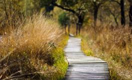 梦到被人关起来了