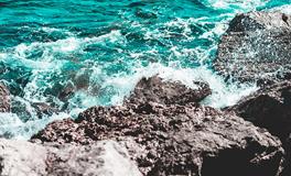 属狗人如何养生