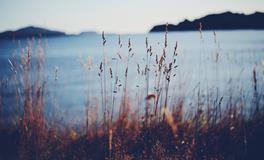 农历1月出生属猴人命好吗