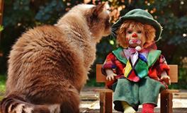 梦见自己被猫咬了