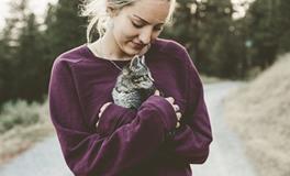 梦见猫是怎么回事