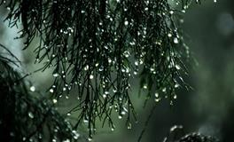 周公解梦梦见下雨