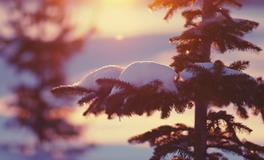 1992年属猴的是什么命